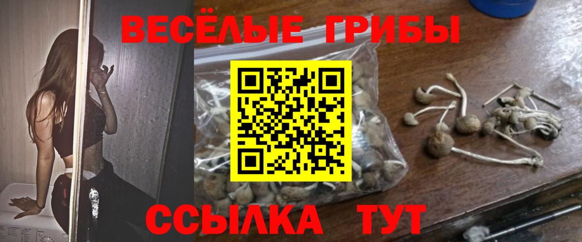 Псилоцибиновые грибы Psilocybine cubensis Ликино-Дулёво