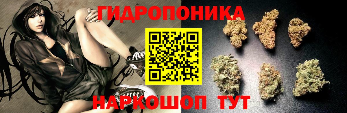 Бошки Шишки семена  Конопля MAZAR  Канабис Bruce Banner  Ликино-Дулёво  Вход с VPN 